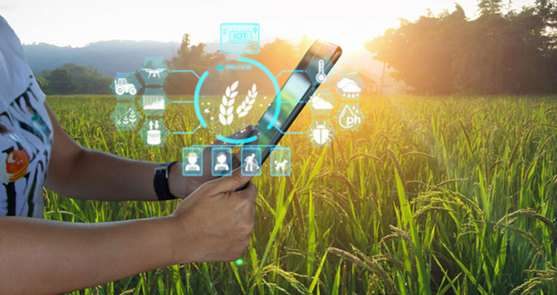 Trading-Futures-Spreads-on-Agricultural-Products